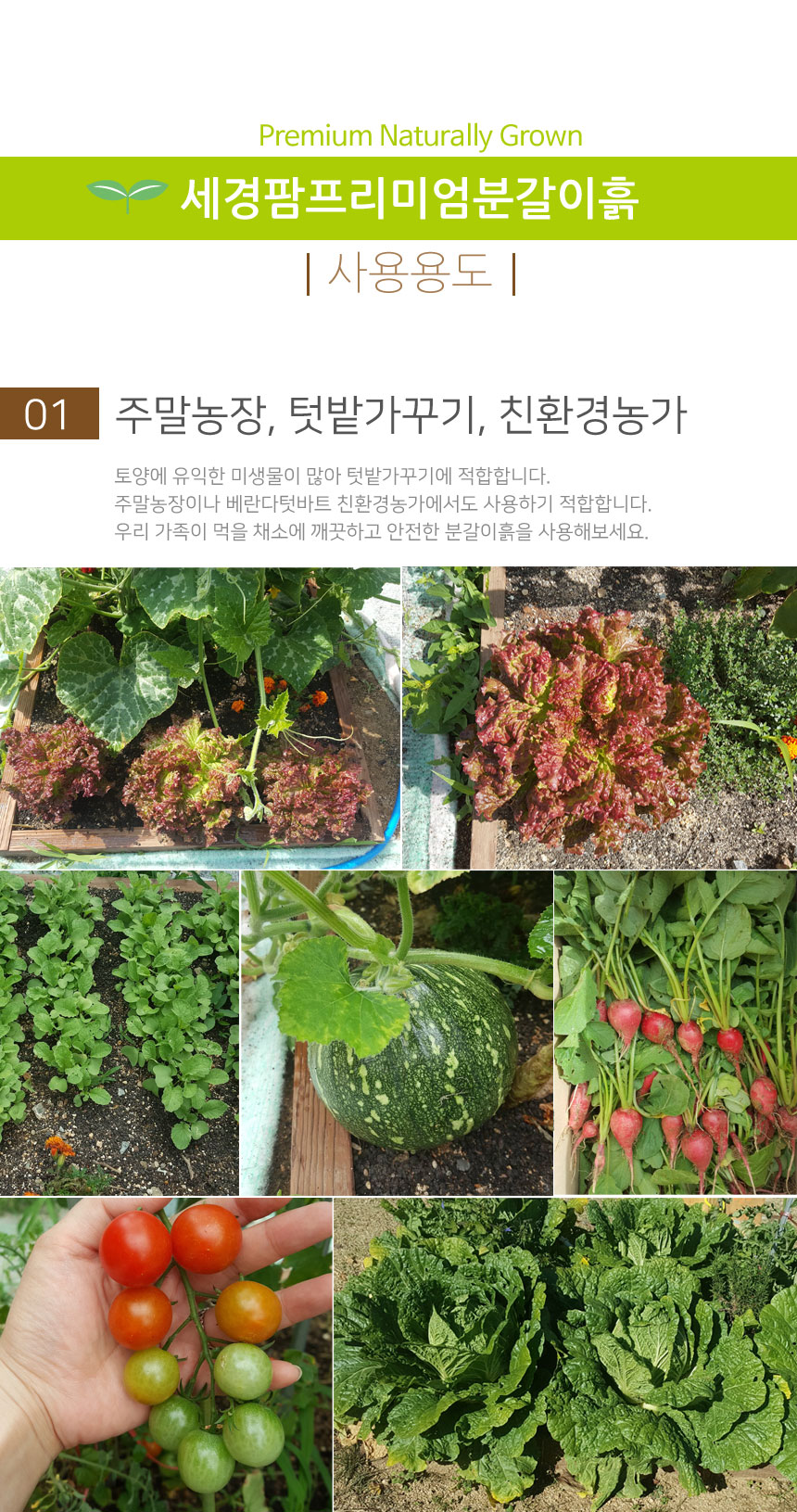 gardening-soil17_170435.jpg